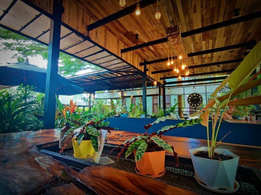The Willow Phangan Ko Pha Ngan Extérieur photo