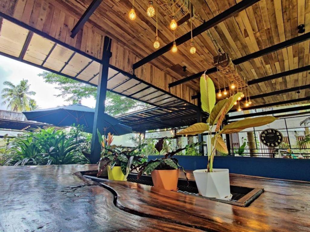 The Willow Phangan Ko Pha Ngan Extérieur photo